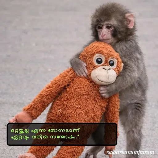 Quote by Sakkir kavumpuram -  - Made using Quotes Creator App, Post Maker App