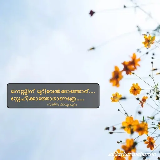 Quote by Sakkir kavumpuram -  - Made using Quotes Creator App, Post Maker App