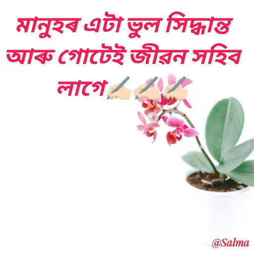 Quote by Salma  Sultana - মানুহৰ এটা ভুল সিদ্ধান্ত আৰু গোটেই জীৱন সহিব লাগে✍🏻✍🏻✍🏻 - Made using Quotes Creator App, Post Maker App