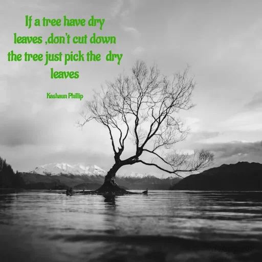 Quote by Kashaun Phillip - If a tree have dry leaves ,don't cut down  the tree just pick the  dry leaves

Kashaun Phillip - Made using Quotes Creator App, Post Maker App