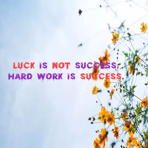 Quote by Lily • - LUCK IS NOT SUCSS
HARD WORK IS SUCCES,
 - Made using Quotes Creator App, Post Maker App