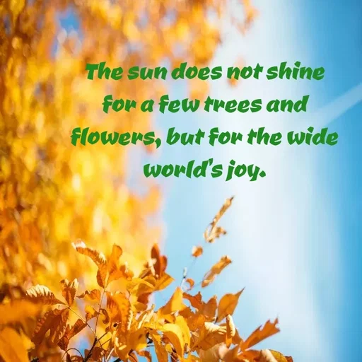 Quote by Lily • - The sun does not shine
for a few trees and
flowers, but for the wide
World's joy.
 - Made using Quotes Creator App, Post Maker App