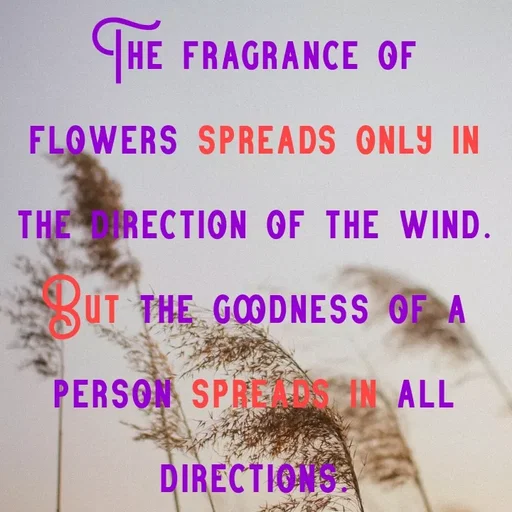 Quote by Lily • - T
HE FRAGRANCE OF
FLOWERS SPREADS ONLY IN
THE RECTION OF THE WIND.
BÜT THE GOODNESS OF A
PERSON SPRE DS IN ALL
DIRECTIONS
 - Made using Quotes Creator App, Post Maker App