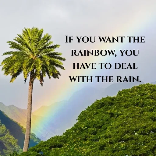 Quote by Lily • - IF YOU WANT THE
RAINBOW, YOU
HAVE TO DEAL
WITH THE RAIN.
 - Made using Quotes Creator App, Post Maker App