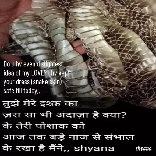 Quote by shyana** - Do u hv even d slightest 
idea of my LOVE? l hv kept 
your dress (snake skin)
safe till today,, - Made using Quotes Creator App, Post Maker App