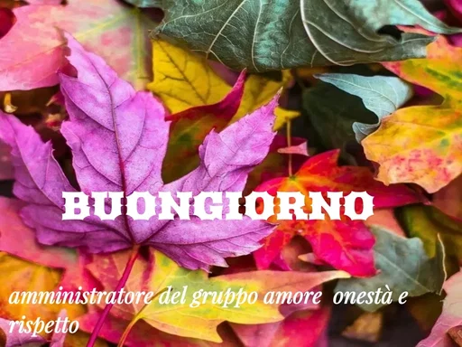 Quote by barone g - BUONGIORNO  - Made using Quotes Creator App, Post Maker App