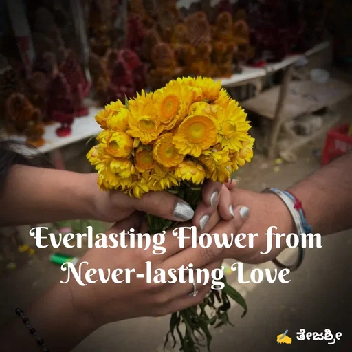 Quote by Dr. Thejashree AB - Everlasting Flower from Never-lasting Love
 - Made using Quotes Creator App, Post Maker App