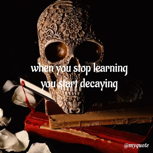 Quote by adriangemini - when you stop learning 
you start decaying  - Made using Quotes Creator App, Post Maker App