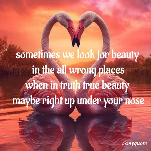 Quote by adriangemini - sometimes we look for beauty 
in the all wrong places
when in truth true beauty 
maybe right up under your nose - Made using Quotes Creator App, Post Maker App