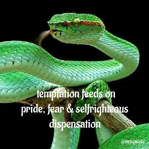 Quote by adriangemini -  - Made using Quotes Creator App, Post Maker App