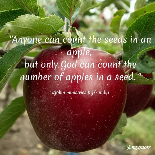 Quote by Indu Indu - "Anyone càn count the seeds in an
apple,
but only God can count the
number of apples in a seed.
#jokin ministries KGF- india
@myquote
 - Made using Quotes Creator App, Post Maker App