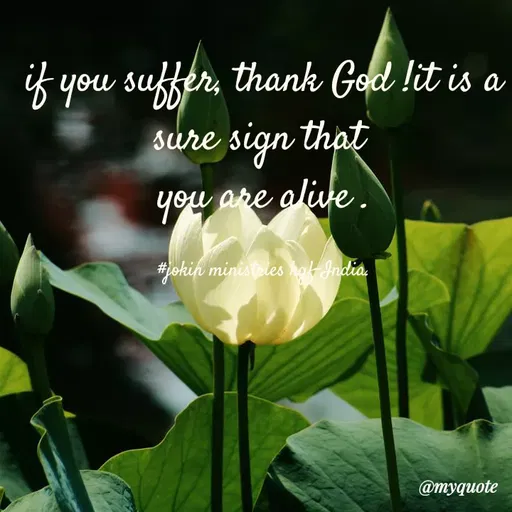 Quote by Indu Indu - 8 you suffer, thank God lit is a
sure sign that
you
are olive.
#jokih ministrles hak India
@myquote
 - Made using Quotes Creator App, Post Maker App