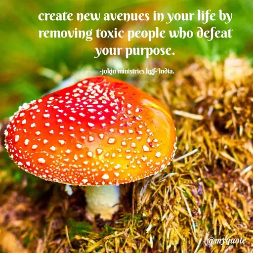 Quote by Indu Indu - create new avenues in your life by
removing toxic people who defeat
your purpose.
jokin ministries kgf-India.
@myquote
 - Made using Quotes Creator App, Post Maker App
