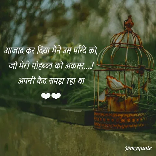 Quote by soul💞💞 - आजाद कर दिया मैंने उस परिंदे को,
जो मेरी मोहब्ब्त को अकसर....!
अपनी कैद समझ रहा था
❤❤ - Made using Quotes Creator App, Post Maker App