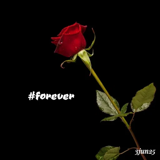Quote by soul💞💞 - #forever  - Made using Quotes Creator App, Post Maker App