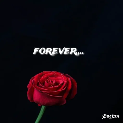 Quote by soul💞💞 - forever.... - Made using Quotes Creator App, Post Maker App
