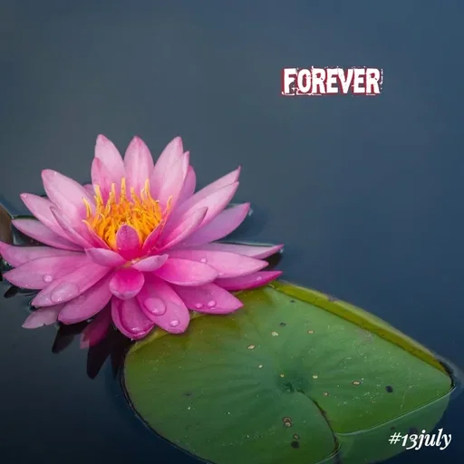 Quote by soul💞💞 - #forever - Made using Quotes Creator App, Post Maker App