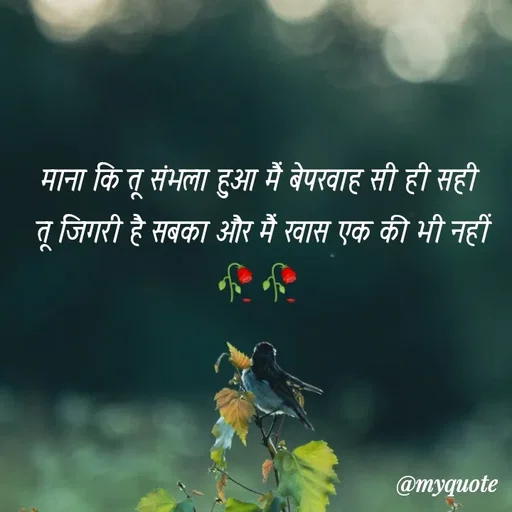 Quote by soul💞💞 - माना कि तू संभला हुआ मैं बेपरवाह सी ही सही 
तू जिगरी है सबका और मैं खास एक की भी नहीं
🥀🥀  - Made using Quotes Creator App, Post Maker App