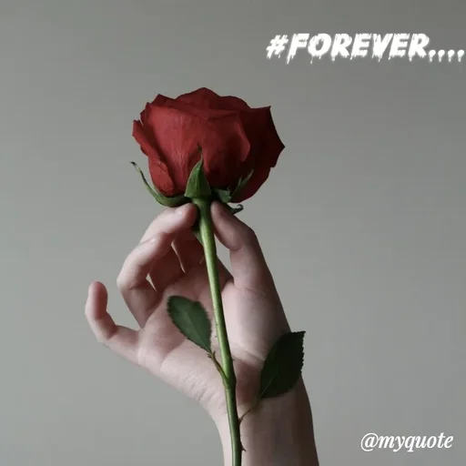 Quote by soul💞💞 - #forever.... - Made using Quotes Creator App, Post Maker App