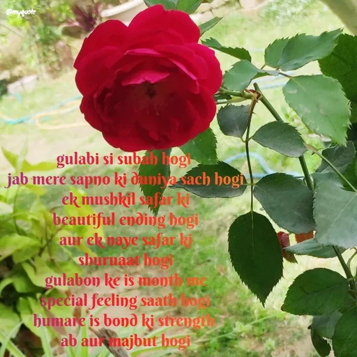 Quote by positive vibes - gulabi si subah hogi 
jab mere sapno ki duniya sach hogi
ek mushkil safar ki
beautiful ending hogi
aur ek naye safar ki
shuruaat hogi
gulabon ke is month me
special feeling saath hogi
humare is bond ki strength 
ab aur majbut hogi
 - Made using Quotes Creator App, Post Maker App