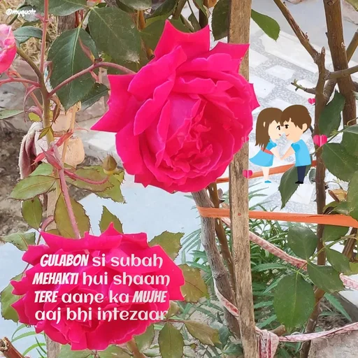 Quote by positive vibes - gulabon si subah
mehakti hui shaam
tere aane ka mujhe 
aaj bhi intezaar - Made using Quotes Creator App, Post Maker App