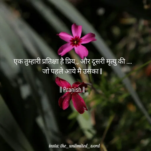 Quote by p.k.soni - एक तुम्हारी प्रतिक्षा है प्रिय,, और दूसरी मृत्यु की ....
जो पहले आये मै उसका || 

|| Pranish ||  - Made using Quotes Creator App, Post Maker App