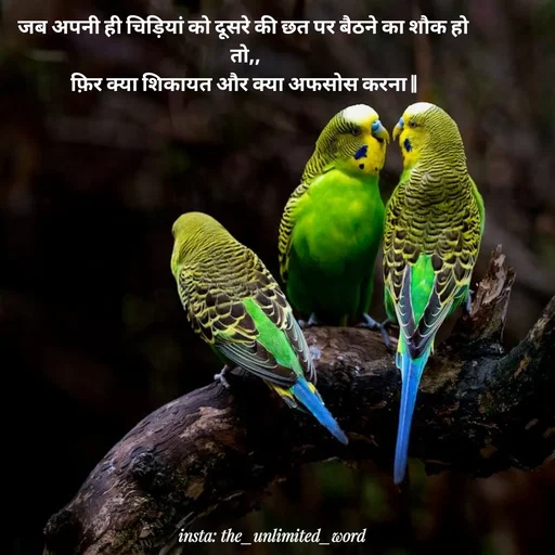 Quote by p.k.soni - जब अपनी ही चिड़ियां को दूसरे की छत पर बैठने का शौक हो 
तो,,
फ़िर क्या शिकायत और क्या अफसोस करना || 
 - Made using Quotes Creator App, Post Maker App