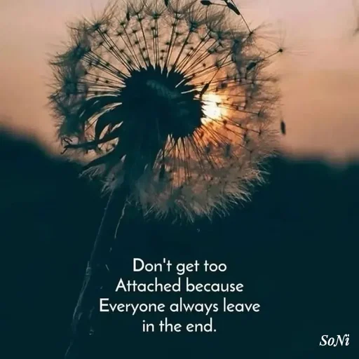 Quote by Soni verma - Double tap to change text. - Made using Quotes Creator App, Post Maker App