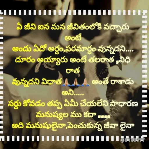 Quote by @Prasanna reddy thummala - ఏ జీవి ఐన మన జీవితంలోకి వచ్చారు అంటే
అందు ఏదో అర్దం,పరమార్ధం వున్నదని....
దూరం అయ్యారు అంటే తలరాత ,విధి రాత
వున్నదని విధాత🙏🏼🙏🏼🙏🏼 అంతే రాశాడు అని.....
సర్దు కోవడం తప్ప ఏమీ చేయలేని సాధారణ
మనుష్యల ము కదా ....
అది మనుషులైనా,పెంచుకున్న జీవా లైనా
 - Made using Quotes Creator App, Post Maker App