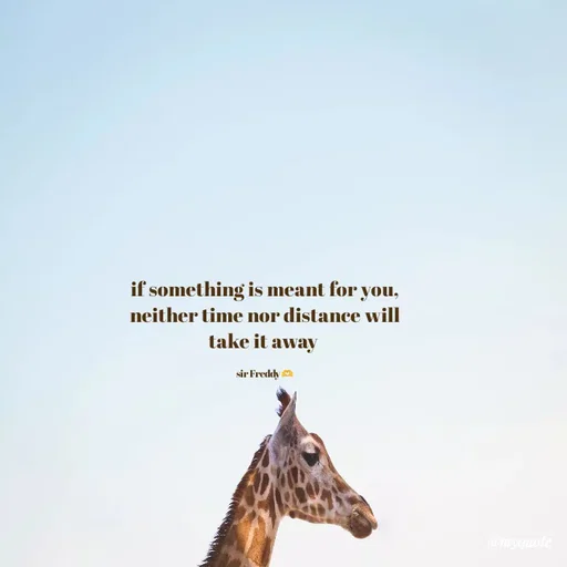 Quote by Sir Freddy 🫶 - if something is meant for you, neither time nor distance will take it away 

sir Freddy 🫶 - Made using Quotes Creator App, Post Maker App
