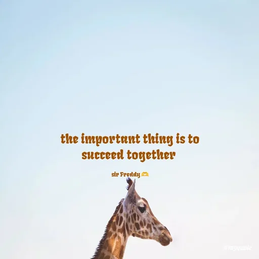 Quote by Sir Freddy 🫶 - the important thing is to succeed together 

sir Freddy 🫶 - Made using Quotes Creator App, Post Maker App