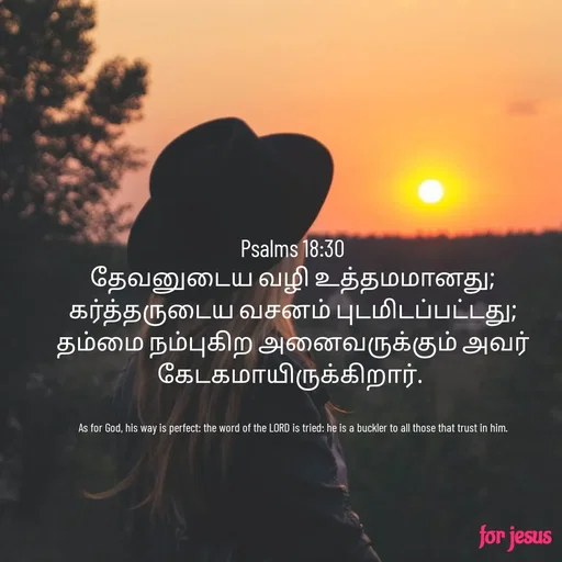 Quote by Joerlin Jesulan - Psalms 18:30
தேவனுடைய வழி உத்தமமானது; கர்த்தருடைய வசனம் புடமிடப்பட்டது; தம்மை நம்புகிற அனைவருக்கும் அவர் கேடகமாயிருக்கிறார். 


As for God, his way is perfect: the word of the LORD is tried: he is a buckler to all those that trust in him. - Made using Quotes Creator App, Post Maker App
