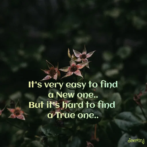 Quote by Joerlin Jesulan - It's very easy to find
a New one..
But it's hard to find
а True onе..
Joerlinj
 - Made using Quotes Creator App, Post Maker App