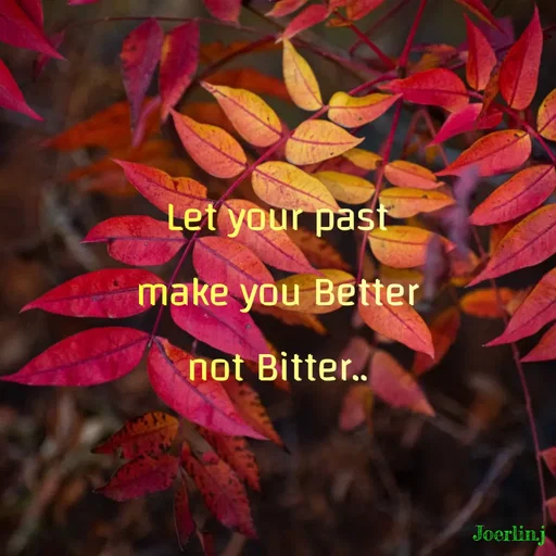 Quote by Joerlin Jesulan - Let your past
make you Better
not Bitter..
Joerlin.j
 - Made using Quotes Creator App, Post Maker App