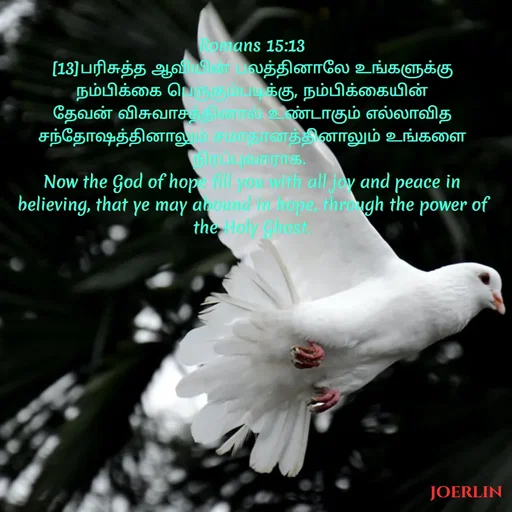 Quote by Joerlin Jesulan -  - Made using Quotes Creator App, Post Maker App