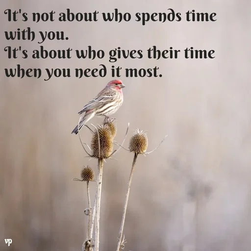 Quote by JustWords -  - Made using Quotes Creator App, Post Maker App