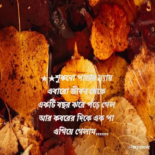 Quote by HM.TANVIR ISLAM - ★★শুকনো পাতার ন্যায় 
এবারো জীবন থেকে 
একটি বছর ঝরে পড়ে গেল 
আর কবরের দিকে এক পা 
    এগিয়ে গেলাম,,,,,,, - Made using Quotes Creator App, Post Maker App