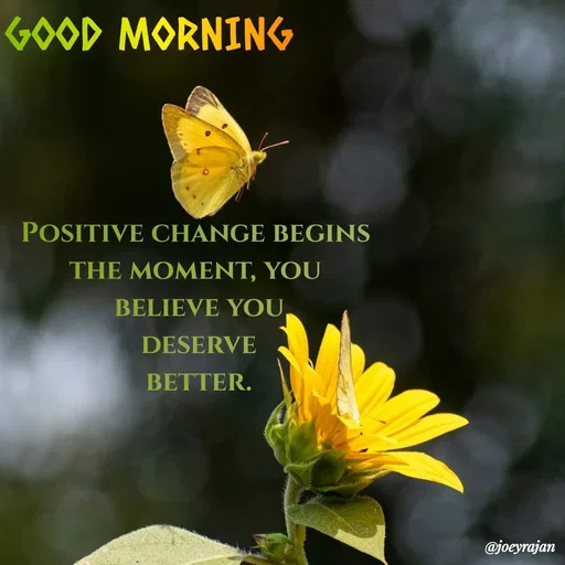 Quote by Joseph Rajan - Positive change begins 
the moment, you 
believe you
 deserve 
better. - Made using Quotes Creator App, Post Maker App