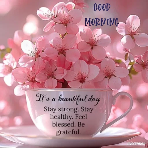 Quote by Joseph Rajan - GOOD 
MORNING  - Made using Quotes Creator App, Post Maker App