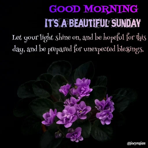 Quote by Joseph Rajan - It's a beautiful Sunday  - Made using Quotes Creator App, Post Maker App
