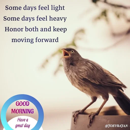 Quote by Joseph Rajan - Have a 
great day  - Made using Quotes Creator App, Post Maker App