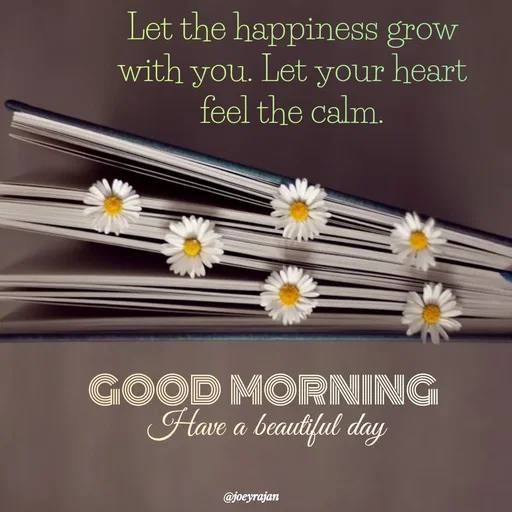 Quote by Joseph Rajan - Have a beautiful day  - Made using Quotes Creator App, Post Maker App