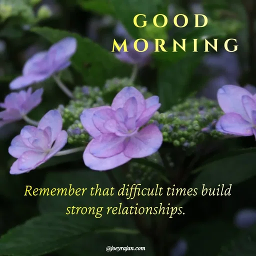 Quote by Joseph Rajan -  - Made using Quotes Creator App, Post Maker App