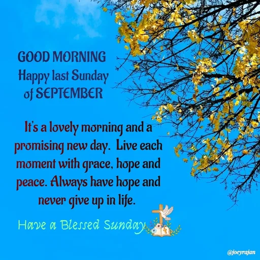 Quote by Joseph Rajan -  - Made using Quotes Creator App, Post Maker App