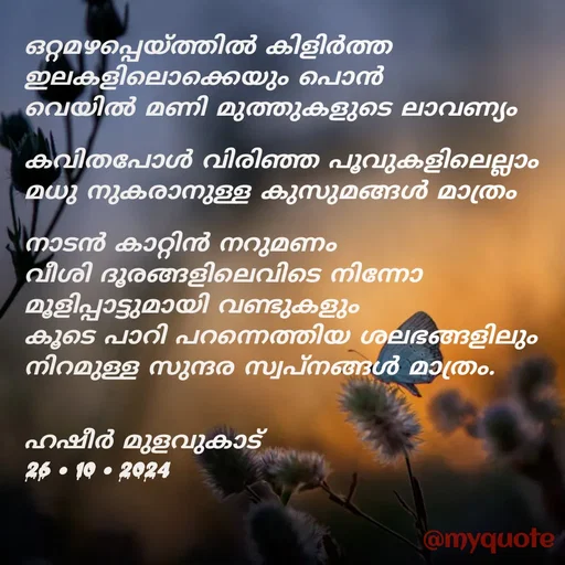 Quote by Hasheer Basheer - ഒറ്റമഴപ്പെയ്ത്തിൽ കിളിർത്ത ഇലകളിലൊക്കെയും പൊൻ 
വെയിൽ മണി മുത്തുകളുടെ ലാവണ്യം 

കവിതപോൾ വിരിഞ്ഞ പൂവുകളിലെല്ലാം 
മധു നുകരാനുള്ള കുസുമങ്ങൾ മാത്രം 

നാടൻ കാറ്റിൻ നറുമണം 
വീശി ദൂരങ്ങളിലെവിടെ നിന്നോ മൂളിപ്പാട്ടുമായി വണ്ടുകളും 
കൂടെ പാറി പറന്നെത്തിയ ശലഭങ്ങളിലും 
നിറമുള്ള സുന്ദര സ്വപ്‌നങ്ങൾ മാത്രം.


ഹഷീർ മുളവുകാട് 
26•10•2024 - Made using Quotes Creator App, Post Maker App