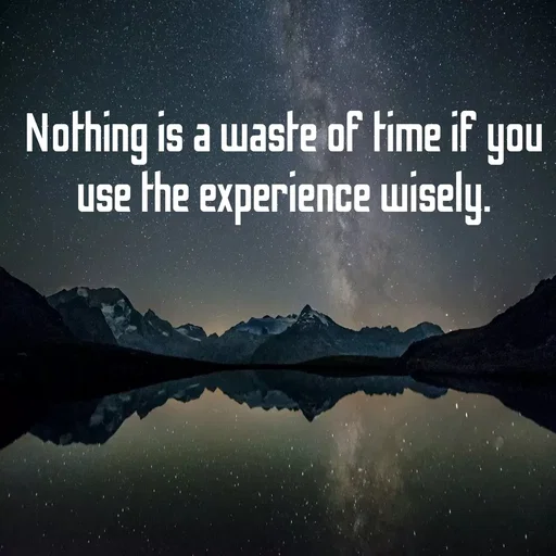 Quote by Aryan Lakhani - Nothing is a waste of Fime if
you
use the experience wisely.
 - Made using Quotes Creator App, Post Maker App