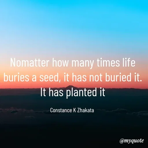 Quote by Constance K Zhakata -  - Made using Quotes Creator App, Post Maker App