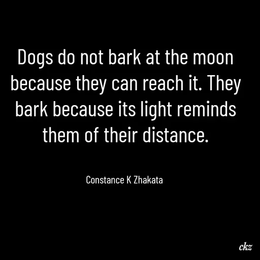 Quote by Constance K Zhakata -  - Made using Quotes Creator App, Post Maker App