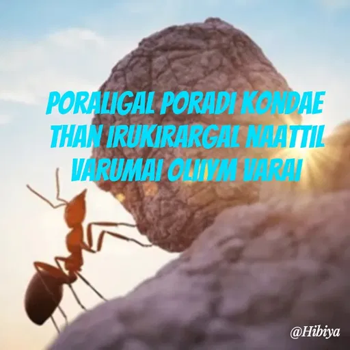 Quote by Hbiya  -  - Made using Quotes Creator App, Post Maker App