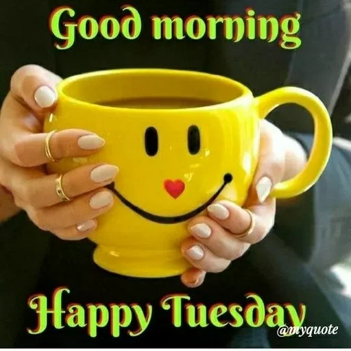 Quote by ashish awasthi - Good morning
Happy Tuesday
@uyquote
 - Made using Quotes Creator App, Post Maker App
